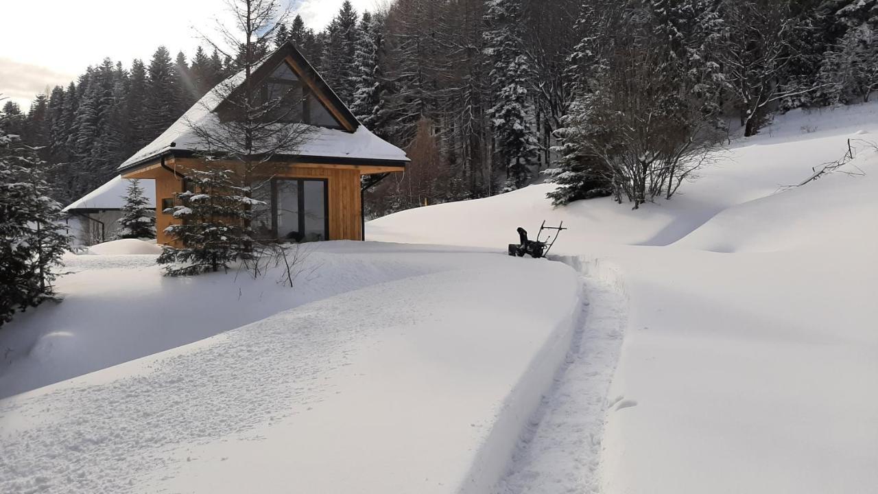 Domki Krynica *