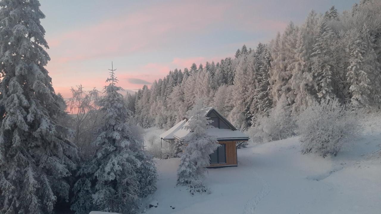 Domki Krynica Krynica Zdroj