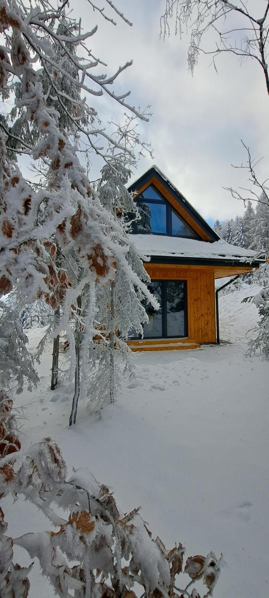Domki Krynica Chalet