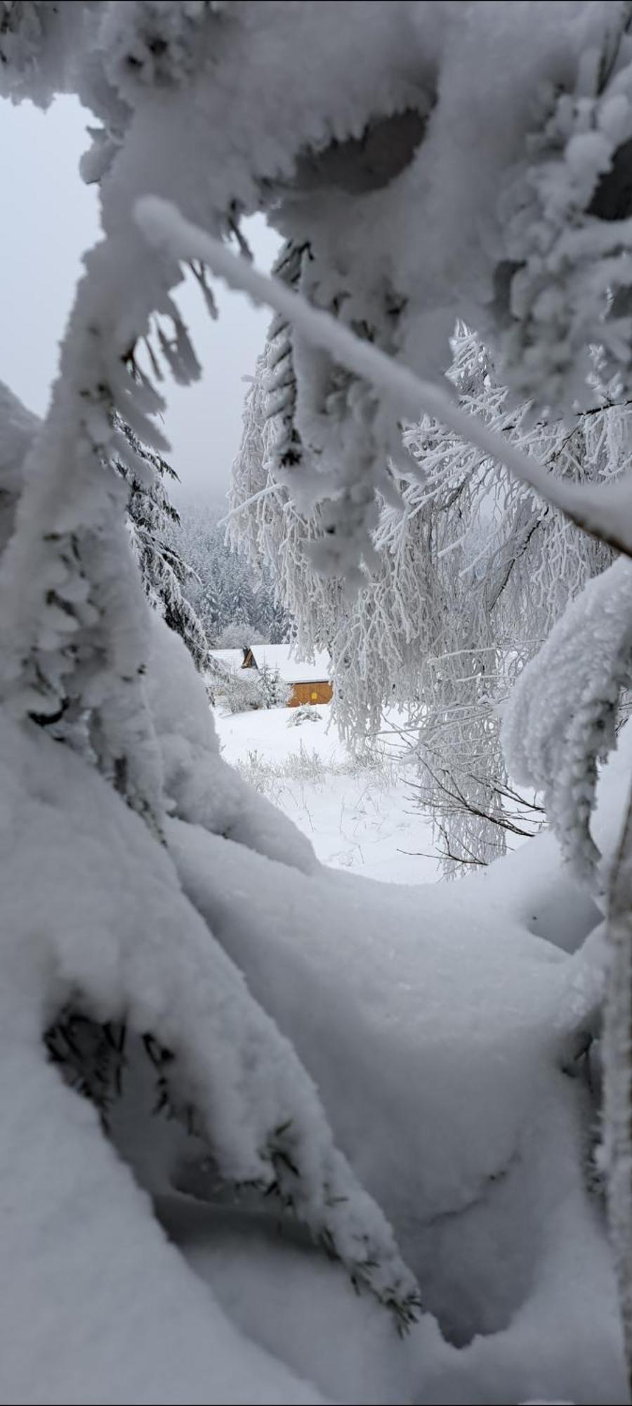 Domki Krynica Chalet