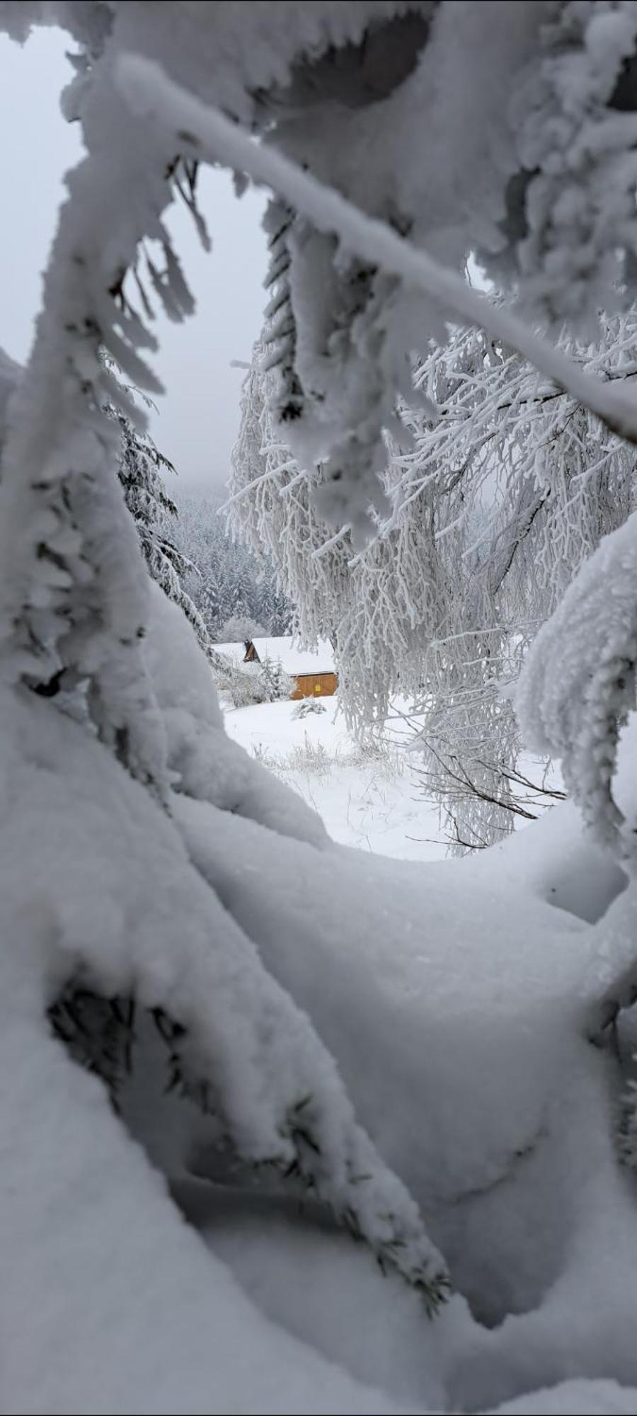 Domki Krynica Chalet