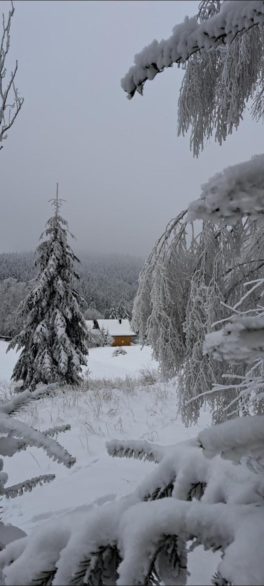 Domki Krynica Chalet *